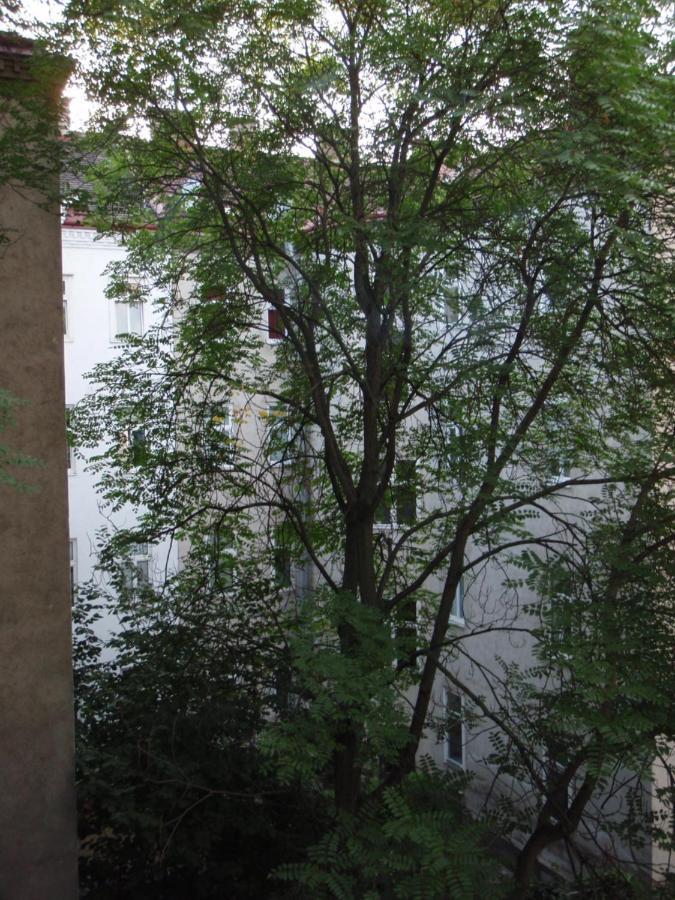 Augartenblick Penthaus 17 - Blick Zum Riesenrad Vídeň Exteriér fotografie